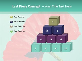 A Red Flower On A Blue Background With A Green Border PowerPoint Template