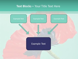 A Red Flower On A Blue Background With A Green Border PowerPoint Template