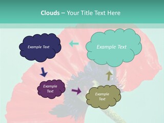 A Red Flower On A Blue Background With A Green Border PowerPoint Template