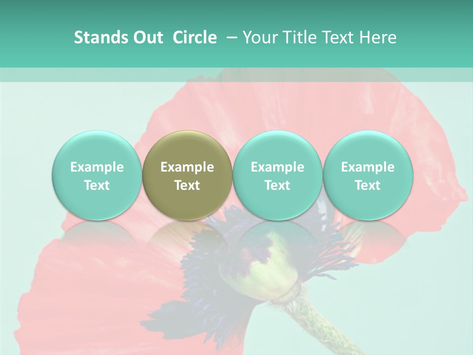 A Red Flower On A Blue Background With A Green Border PowerPoint Template