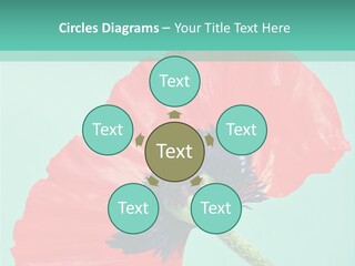 A Red Flower On A Blue Background With A Green Border PowerPoint Template