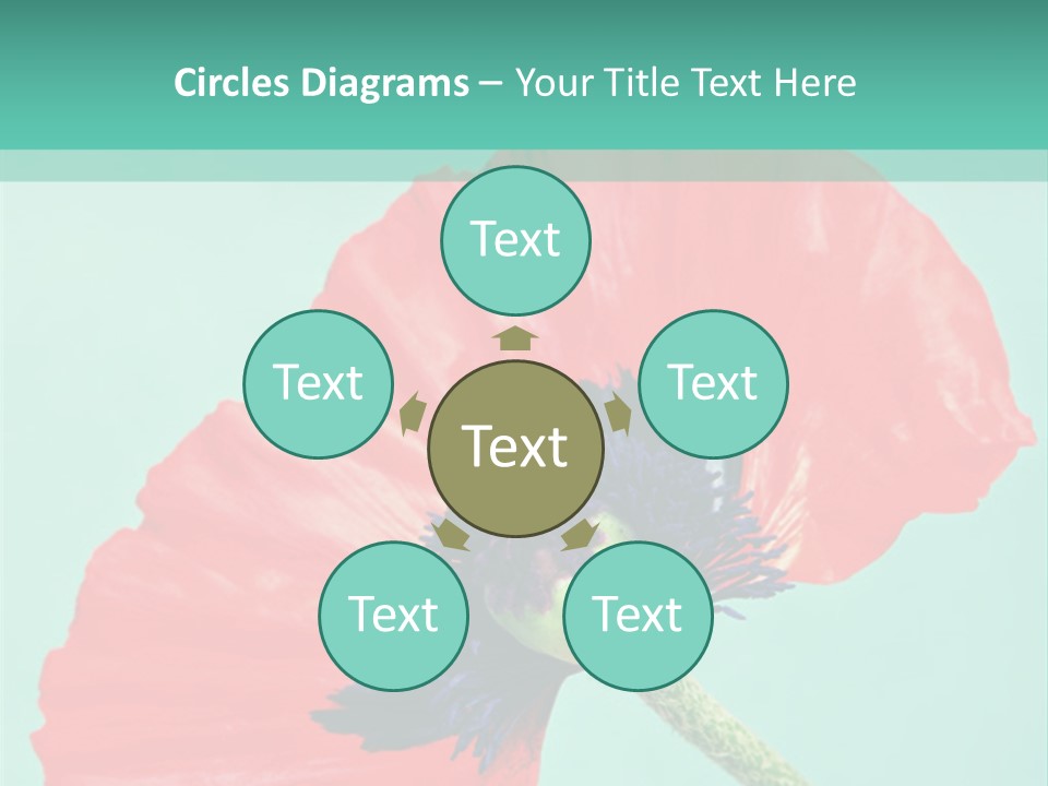 A Red Flower On A Blue Background With A Green Border PowerPoint Template