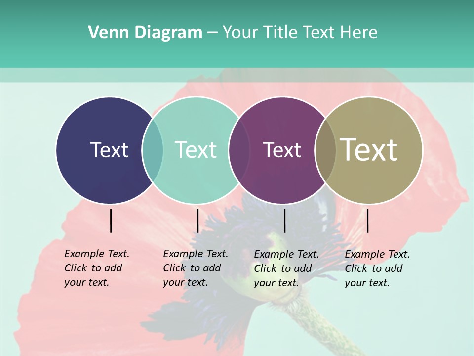 A Red Flower On A Blue Background With A Green Border PowerPoint Template