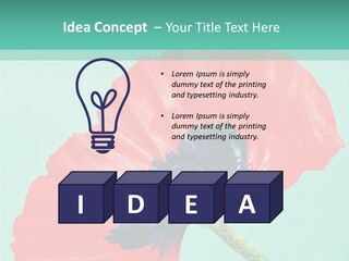 A Red Flower On A Blue Background With A Green Border PowerPoint Template