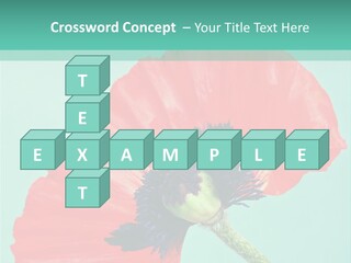 A Red Flower On A Blue Background With A Green Border PowerPoint Template