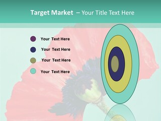 A Red Flower On A Blue Background With A Green Border PowerPoint Template