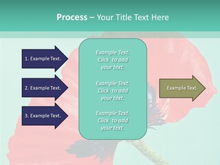 A Red Flower On A Blue Background With A Green Border PowerPoint Template