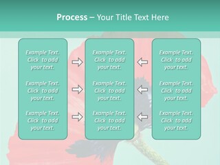 A Red Flower On A Blue Background With A Green Border PowerPoint Template