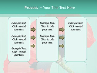 A Red Flower On A Blue Background With A Green Border PowerPoint Template