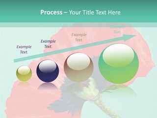 A Red Flower On A Blue Background With A Green Border PowerPoint Template