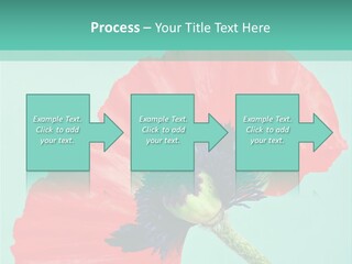 A Red Flower On A Blue Background With A Green Border PowerPoint Template