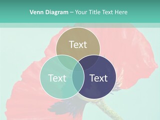 A Red Flower On A Blue Background With A Green Border PowerPoint Template