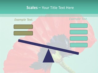 A Red Flower On A Blue Background With A Green Border PowerPoint Template