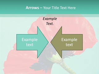 A Red Flower On A Blue Background With A Green Border PowerPoint Template