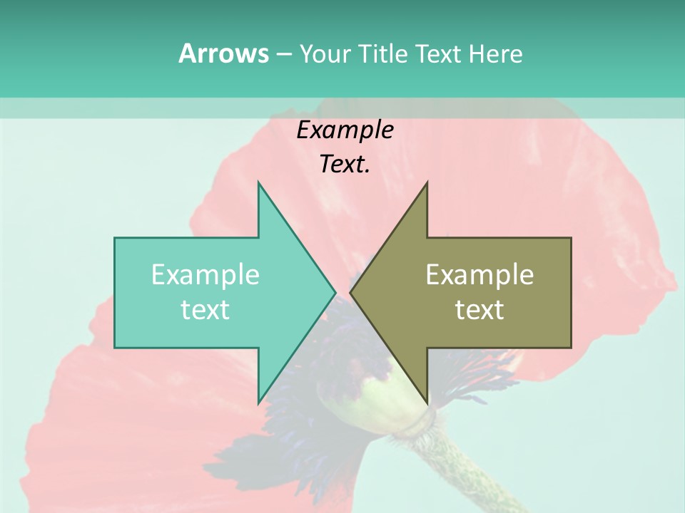 A Red Flower On A Blue Background With A Green Border PowerPoint Template