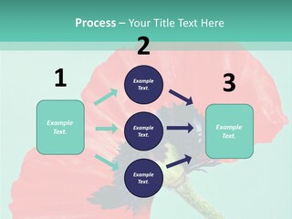 A Red Flower On A Blue Background With A Green Border PowerPoint Template