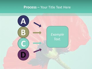 A Red Flower On A Blue Background With A Green Border PowerPoint Template