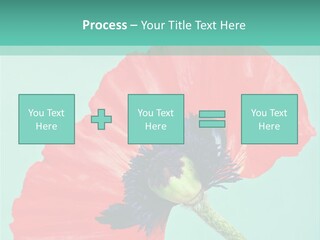 A Red Flower On A Blue Background With A Green Border PowerPoint Template