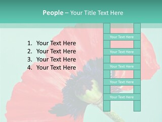 A Red Flower On A Blue Background With A Green Border PowerPoint Template