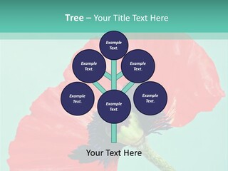 A Red Flower On A Blue Background With A Green Border PowerPoint Template