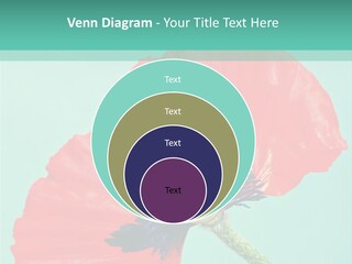 A Red Flower On A Blue Background With A Green Border PowerPoint Template