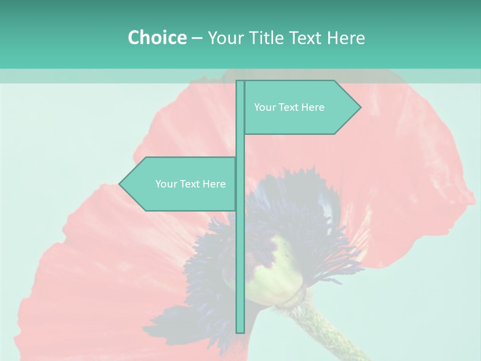 A Red Flower On A Blue Background With A Green Border PowerPoint Template