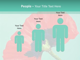 A Red Flower On A Blue Background With A Green Border PowerPoint Template