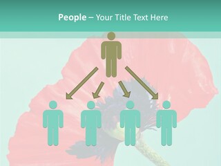 A Red Flower On A Blue Background With A Green Border PowerPoint Template