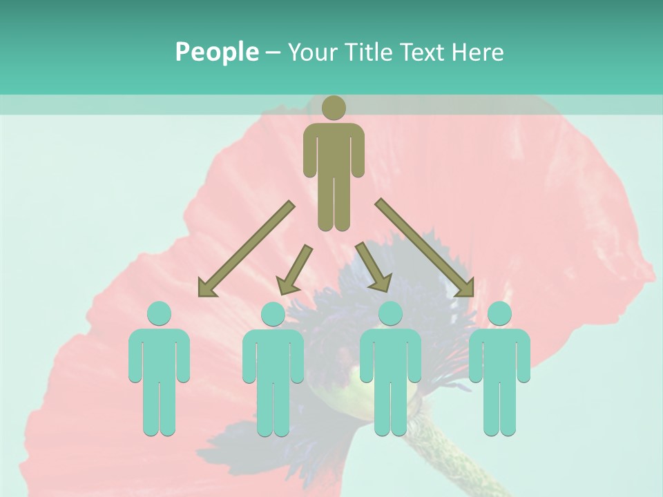 A Red Flower On A Blue Background With A Green Border PowerPoint Template