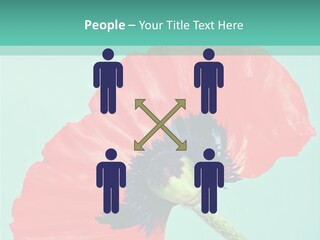 A Red Flower On A Blue Background With A Green Border PowerPoint Template