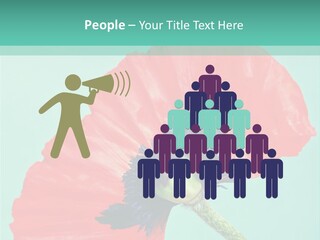 A Red Flower On A Blue Background With A Green Border PowerPoint Template