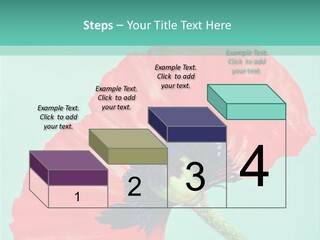 A Red Flower On A Blue Background With A Green Border PowerPoint Template