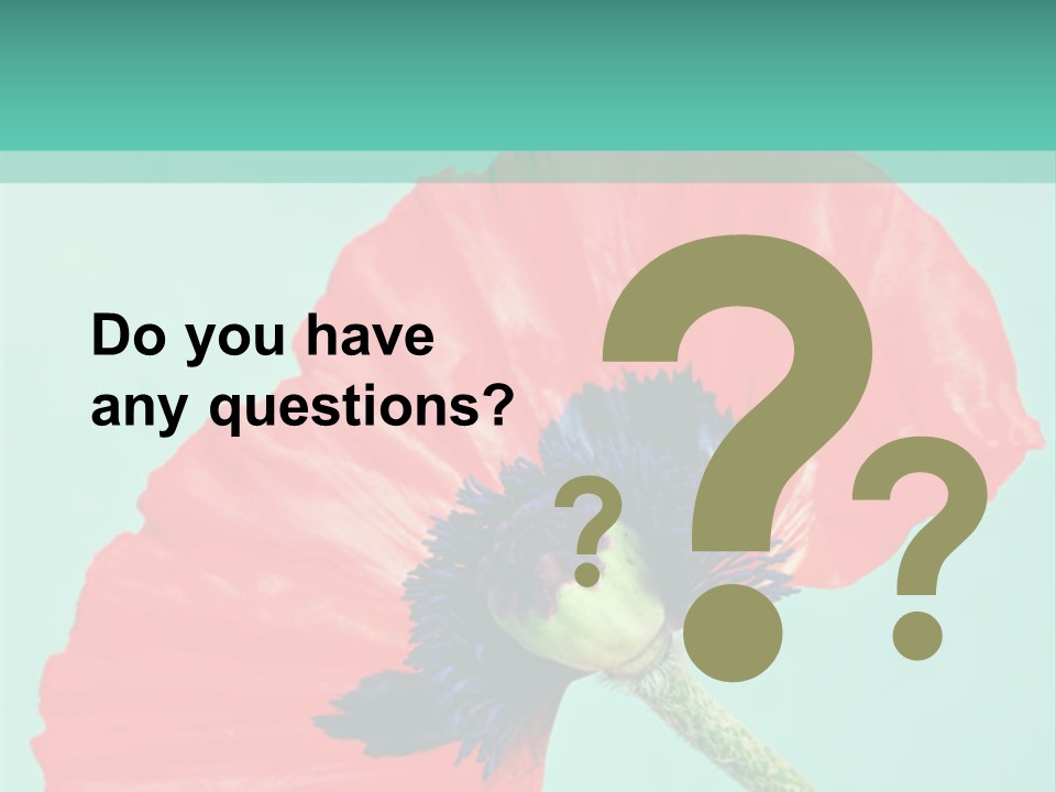 A Red Flower On A Blue Background With A Green Border PowerPoint Template