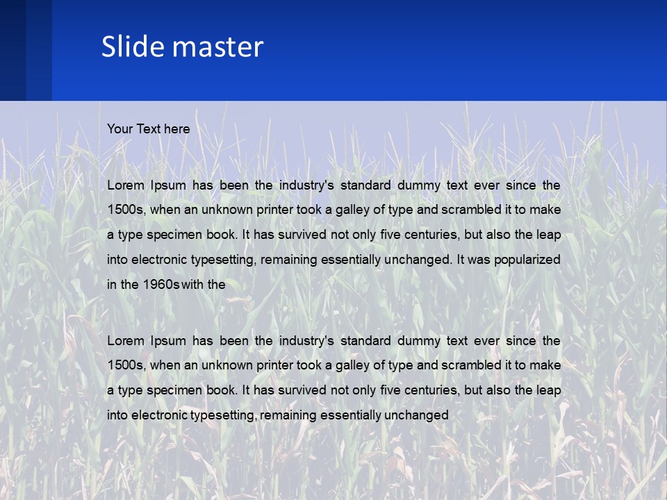 A Field Of Corn With A Blue Sky In The Background PowerPoint Template