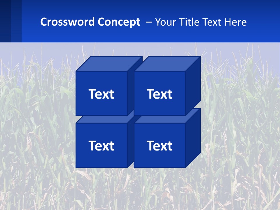 A Field Of Corn With A Blue Sky In The Background PowerPoint Template