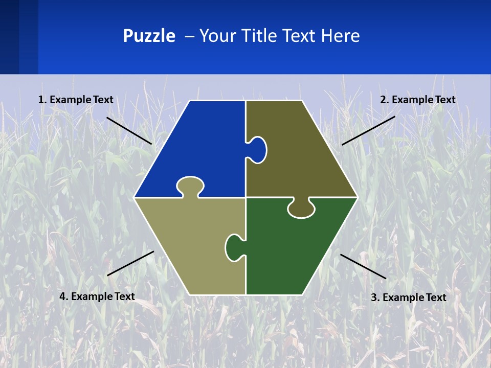 A Field Of Corn With A Blue Sky In The Background PowerPoint Template