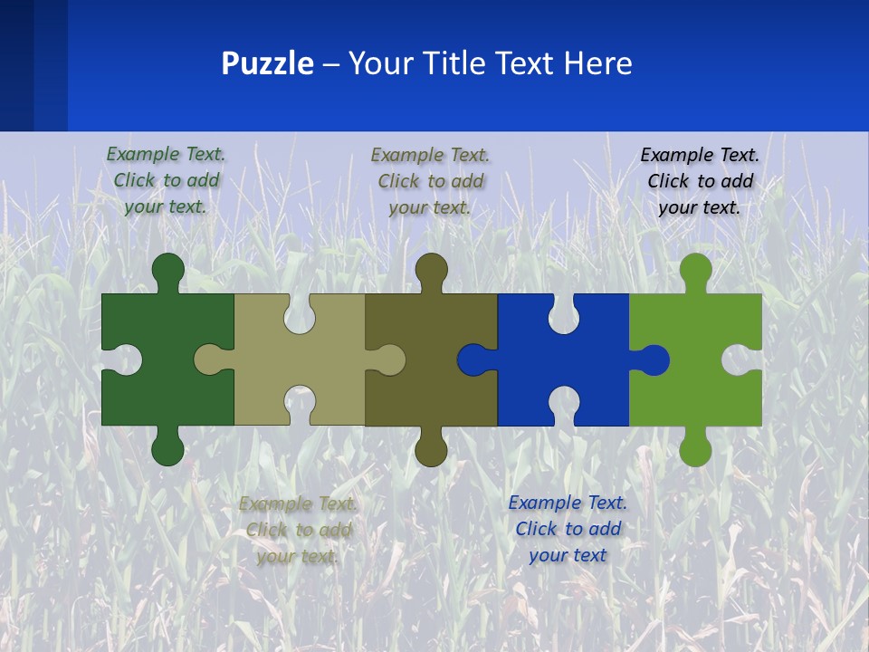 A Field Of Corn With A Blue Sky In The Background PowerPoint Template