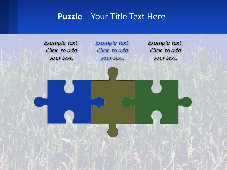 A Field Of Corn With A Blue Sky In The Background PowerPoint Template