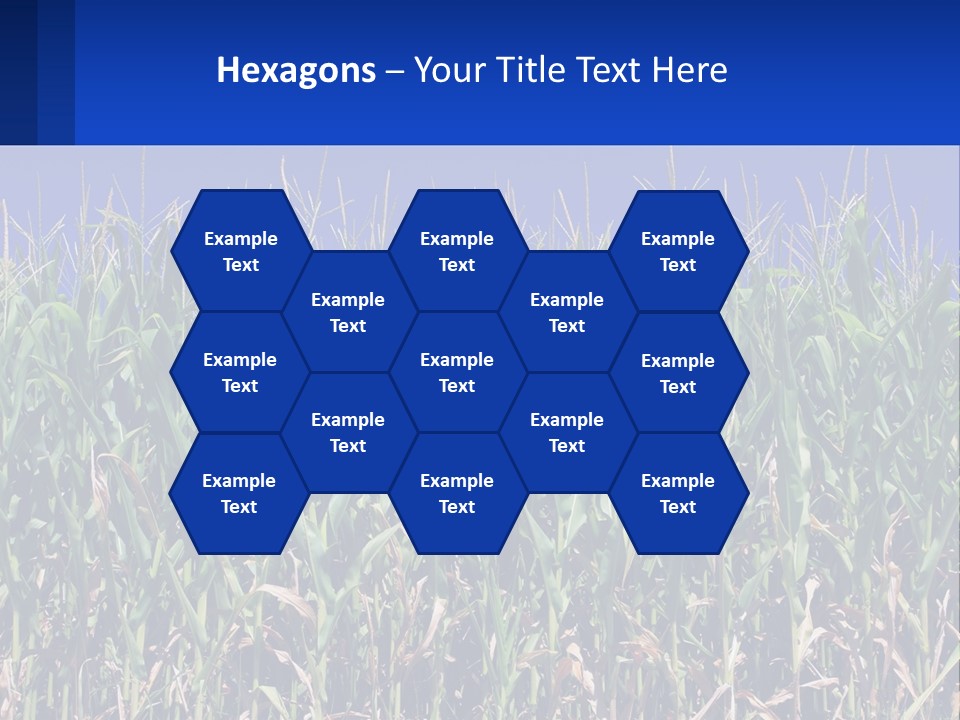 A Field Of Corn With A Blue Sky In The Background PowerPoint Template