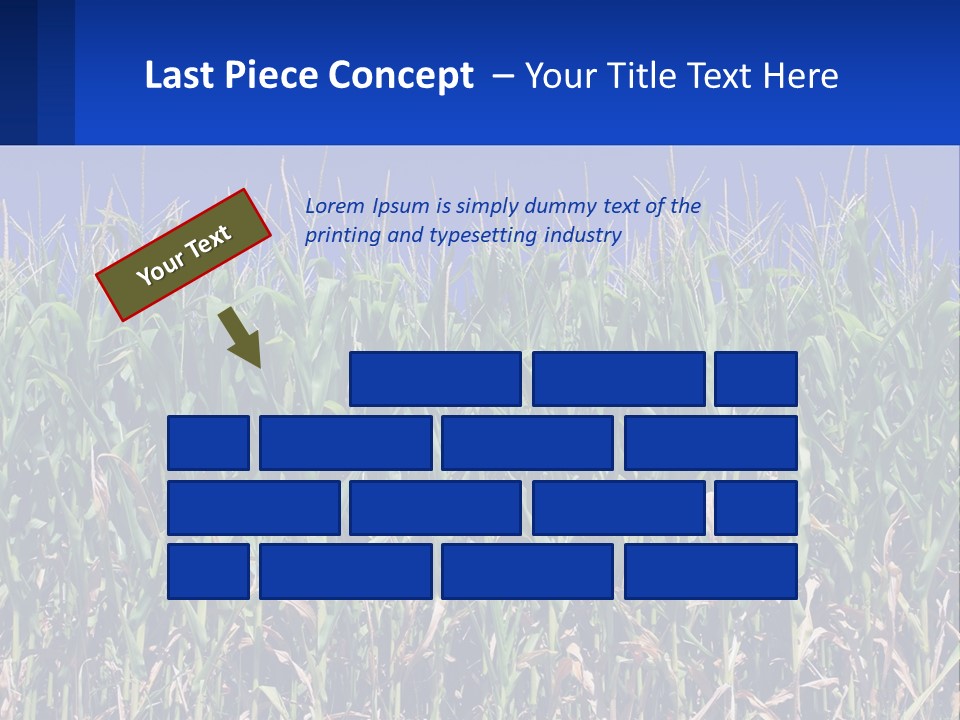 A Field Of Corn With A Blue Sky In The Background PowerPoint Template
