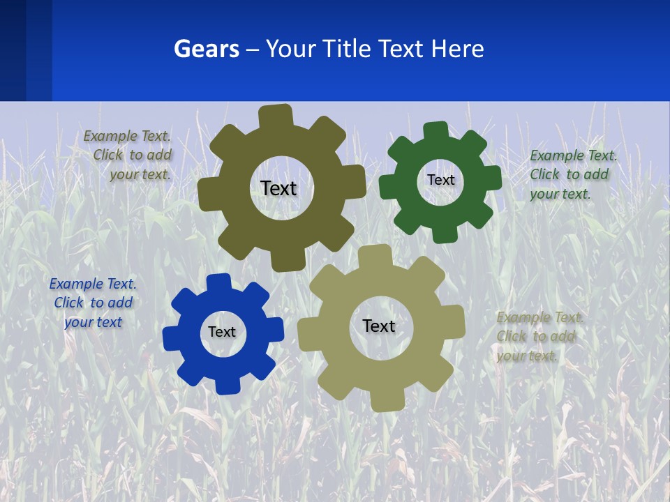 A Field Of Corn With A Blue Sky In The Background PowerPoint Template