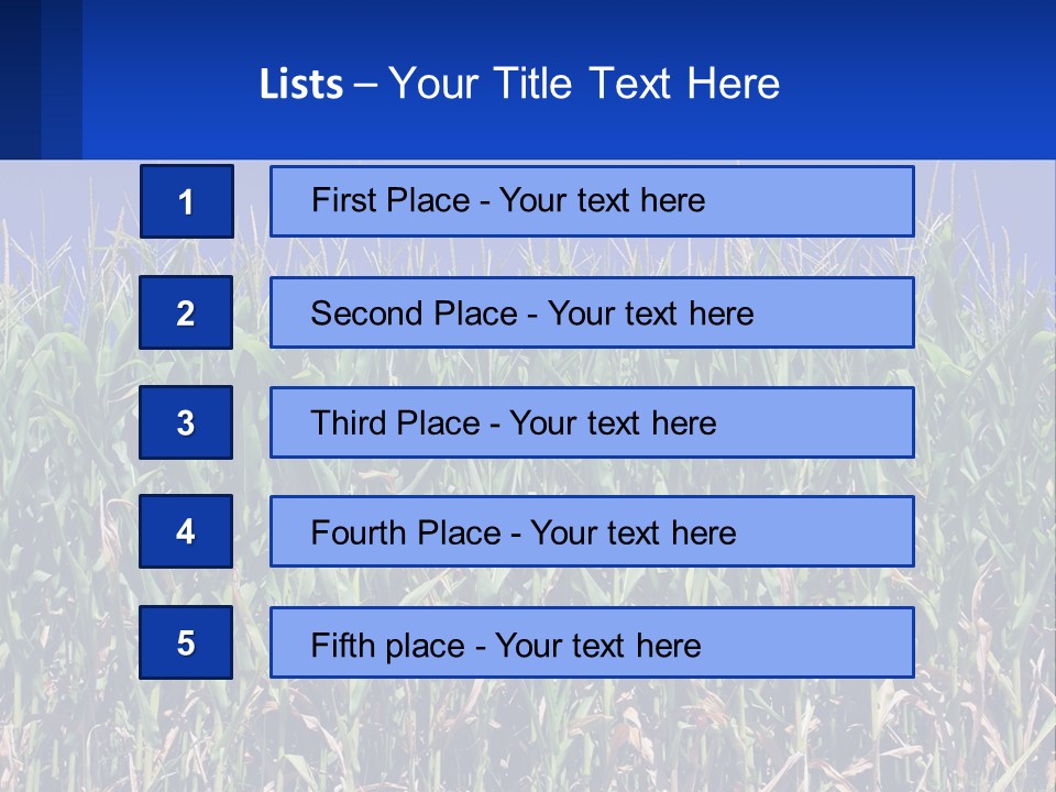 A Field Of Corn With A Blue Sky In The Background PowerPoint Template