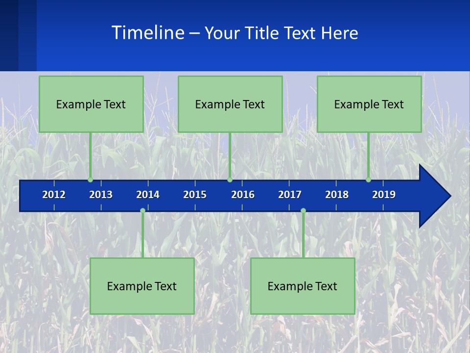 A Field Of Corn With A Blue Sky In The Background PowerPoint Template