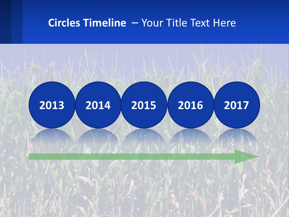 A Field Of Corn With A Blue Sky In The Background PowerPoint Template