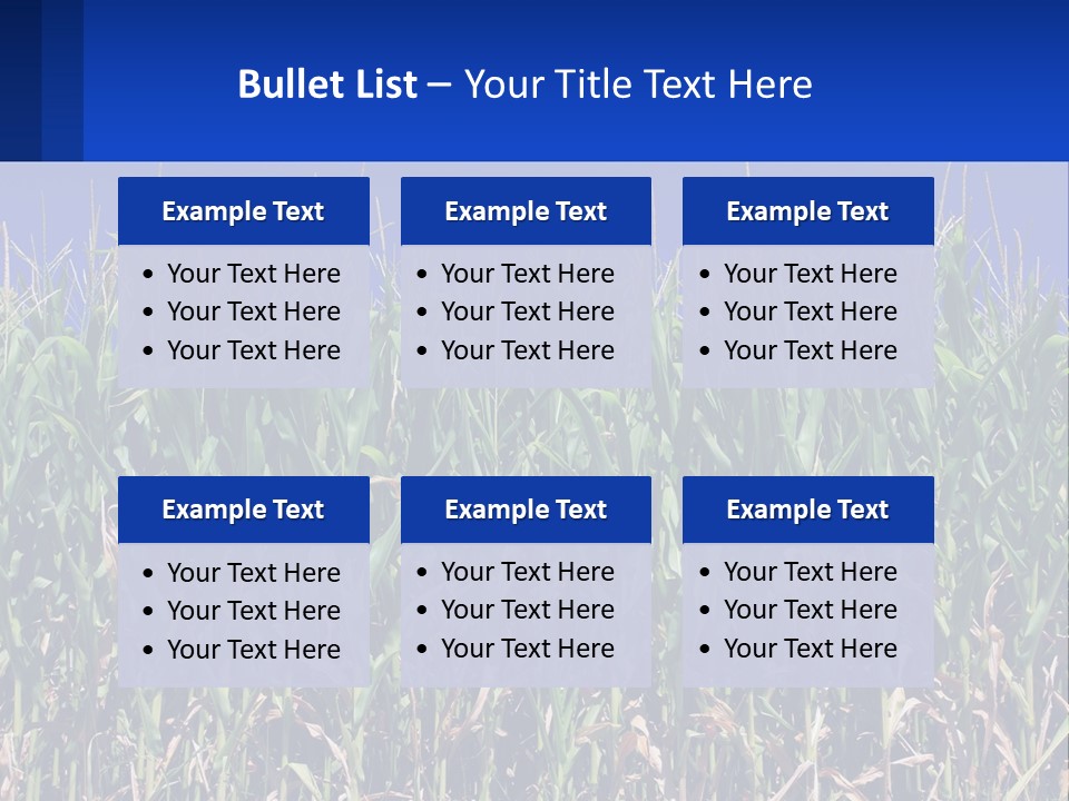 A Field Of Corn With A Blue Sky In The Background PowerPoint Template