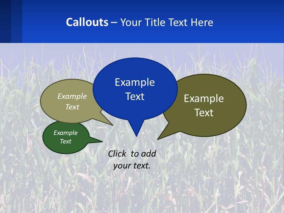 A Field Of Corn With A Blue Sky In The Background PowerPoint Template