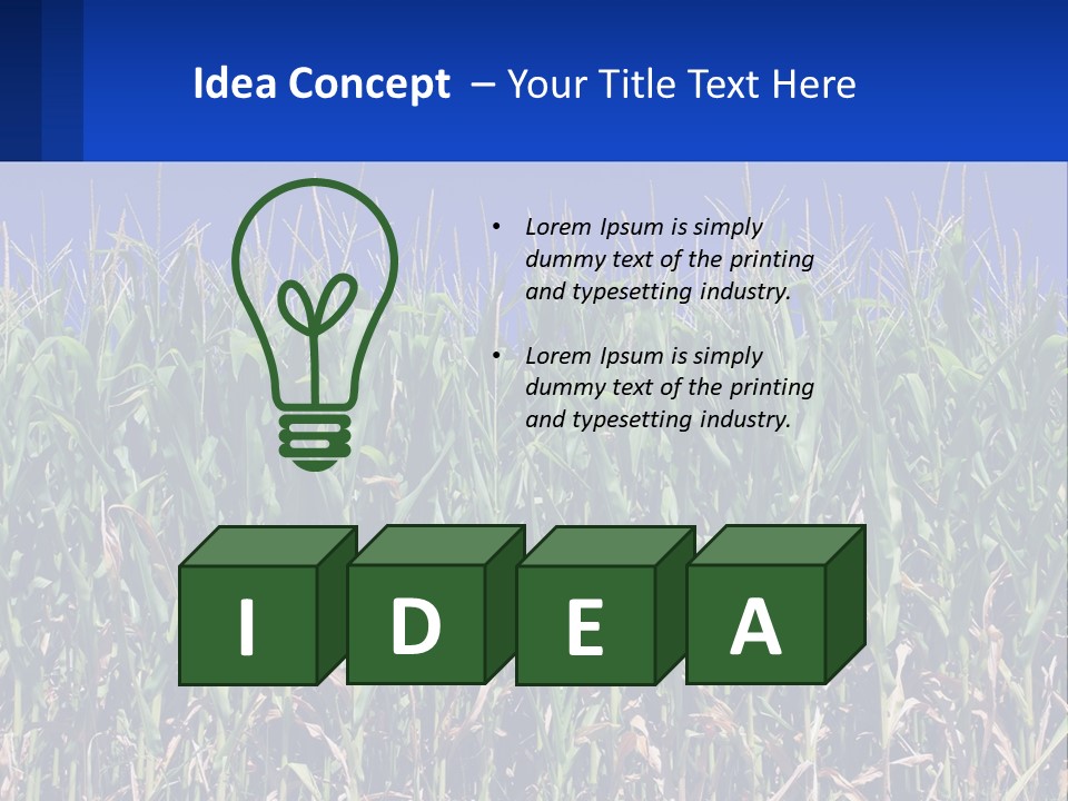 A Field Of Corn With A Blue Sky In The Background PowerPoint Template