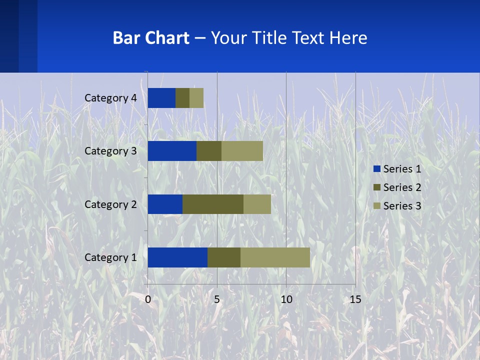 A Field Of Corn With A Blue Sky In The Background PowerPoint Template