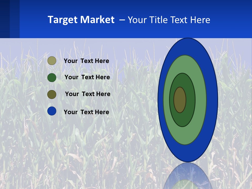 A Field Of Corn With A Blue Sky In The Background PowerPoint Template