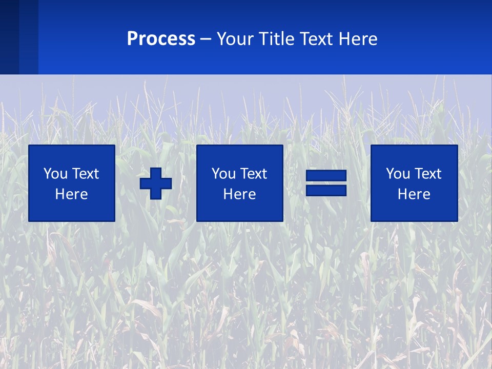 A Field Of Corn With A Blue Sky In The Background PowerPoint Template